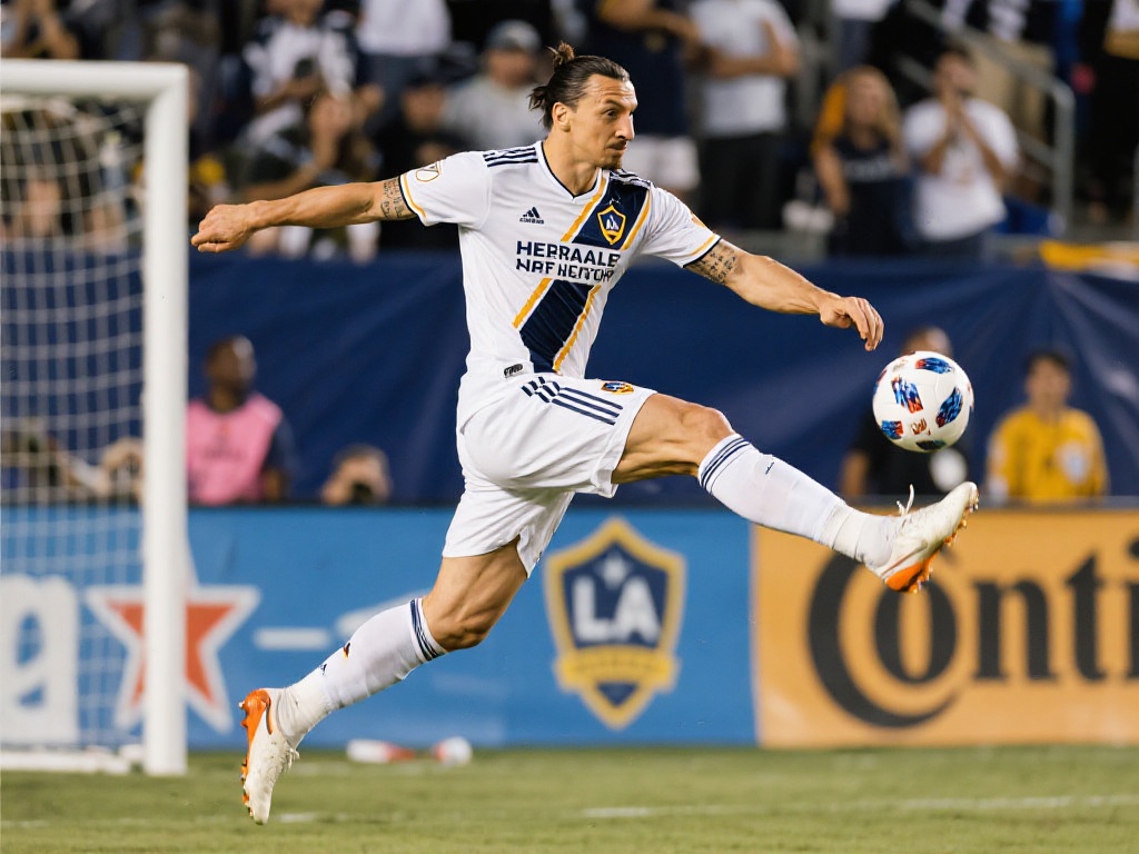 间画面定格 间画面定格