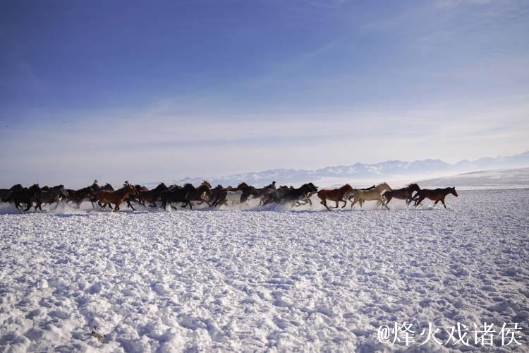 冰雪昭苏迎客来 冰雪昭苏迎客来